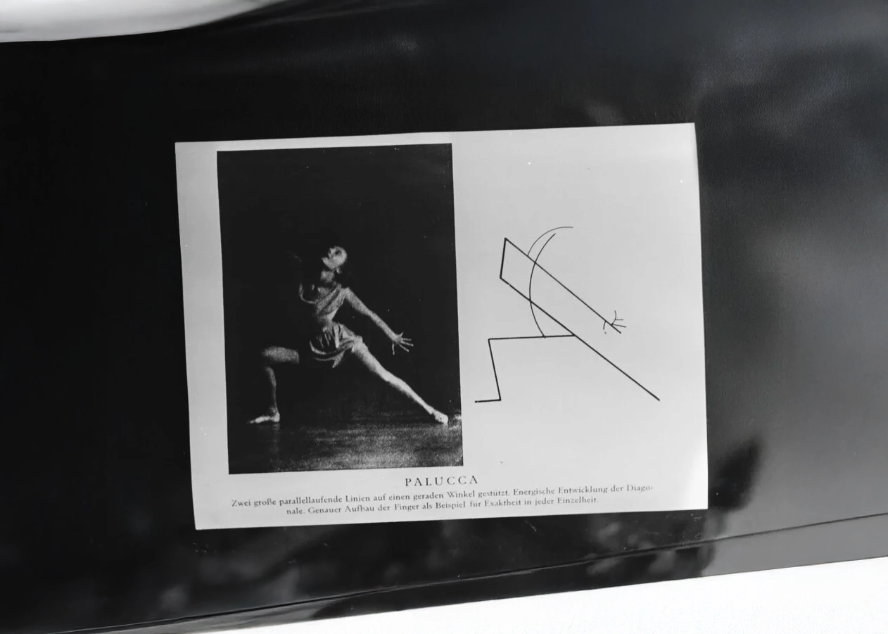 The Geometry of Motion and Zadie Smith