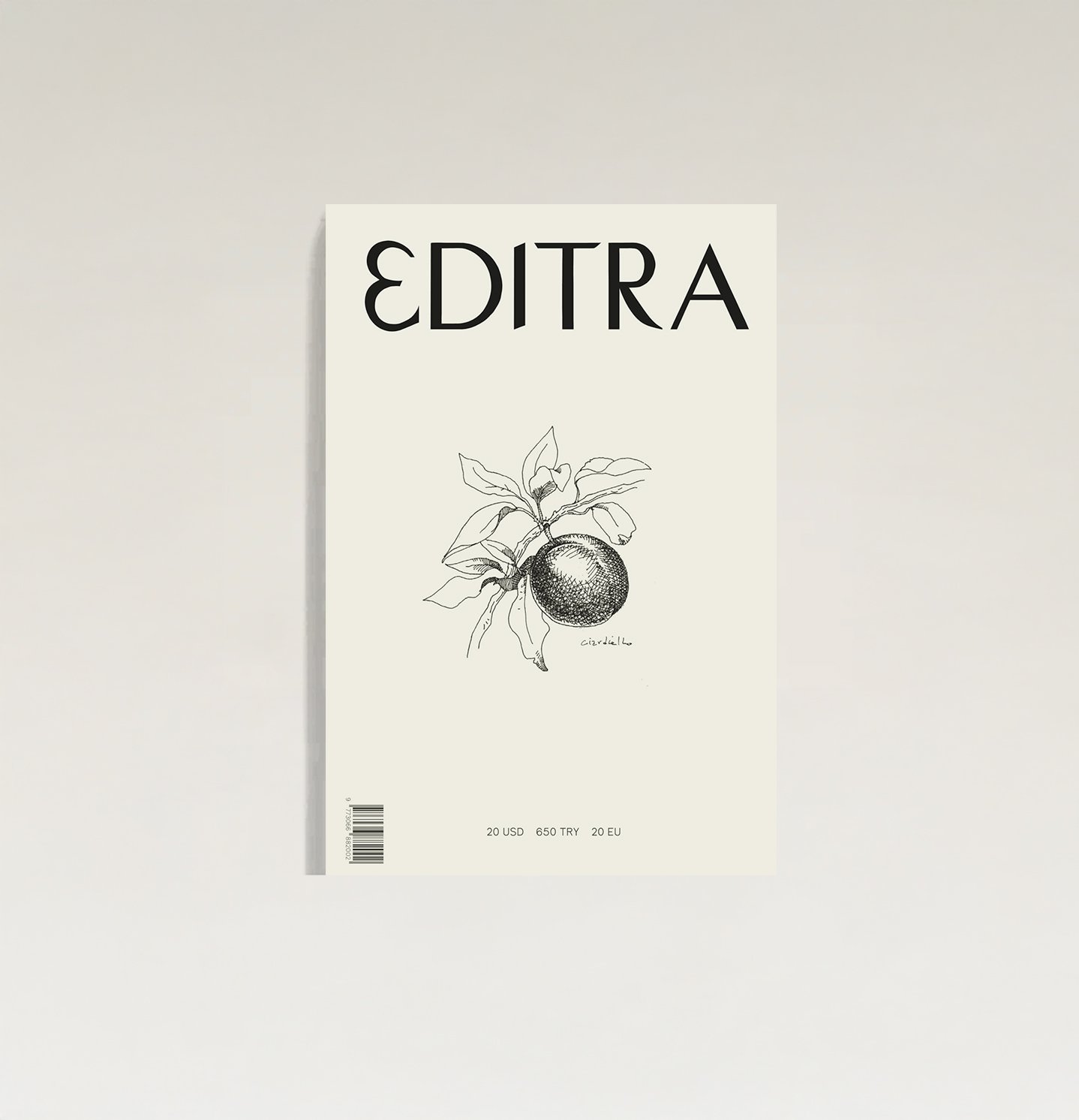 Issue 1
