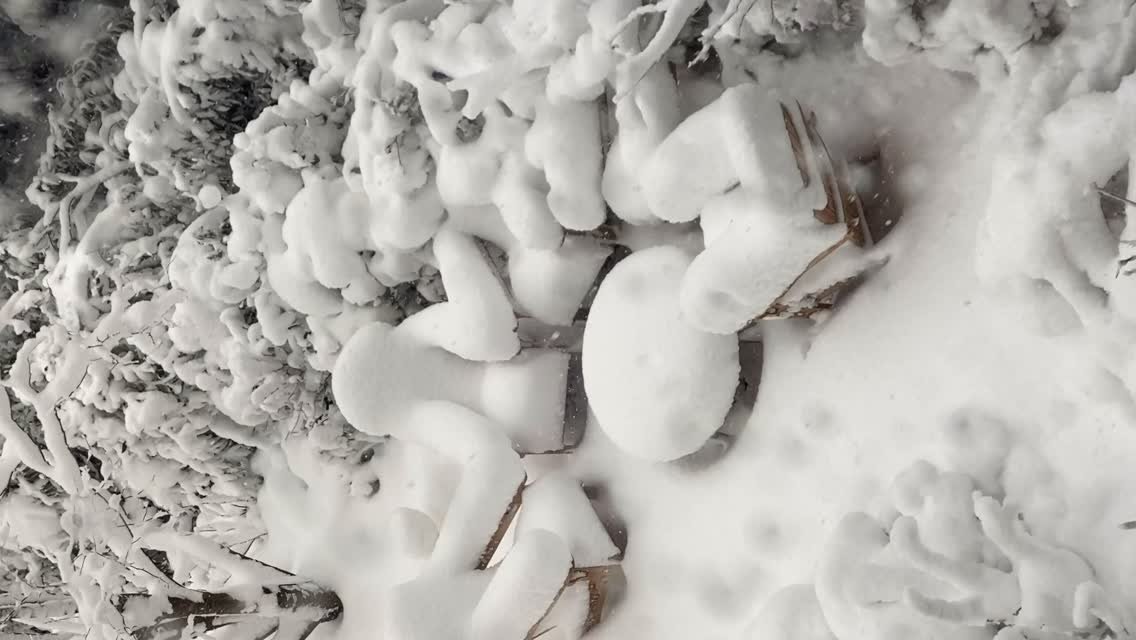 The Big Man: A Snowy Story