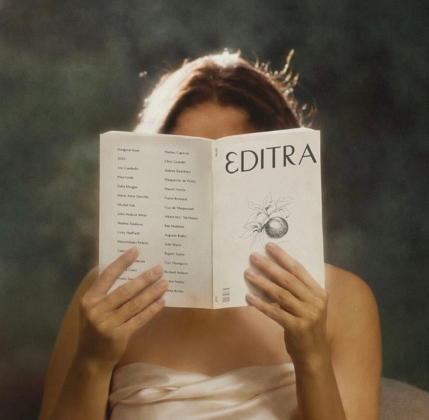 Editra 1