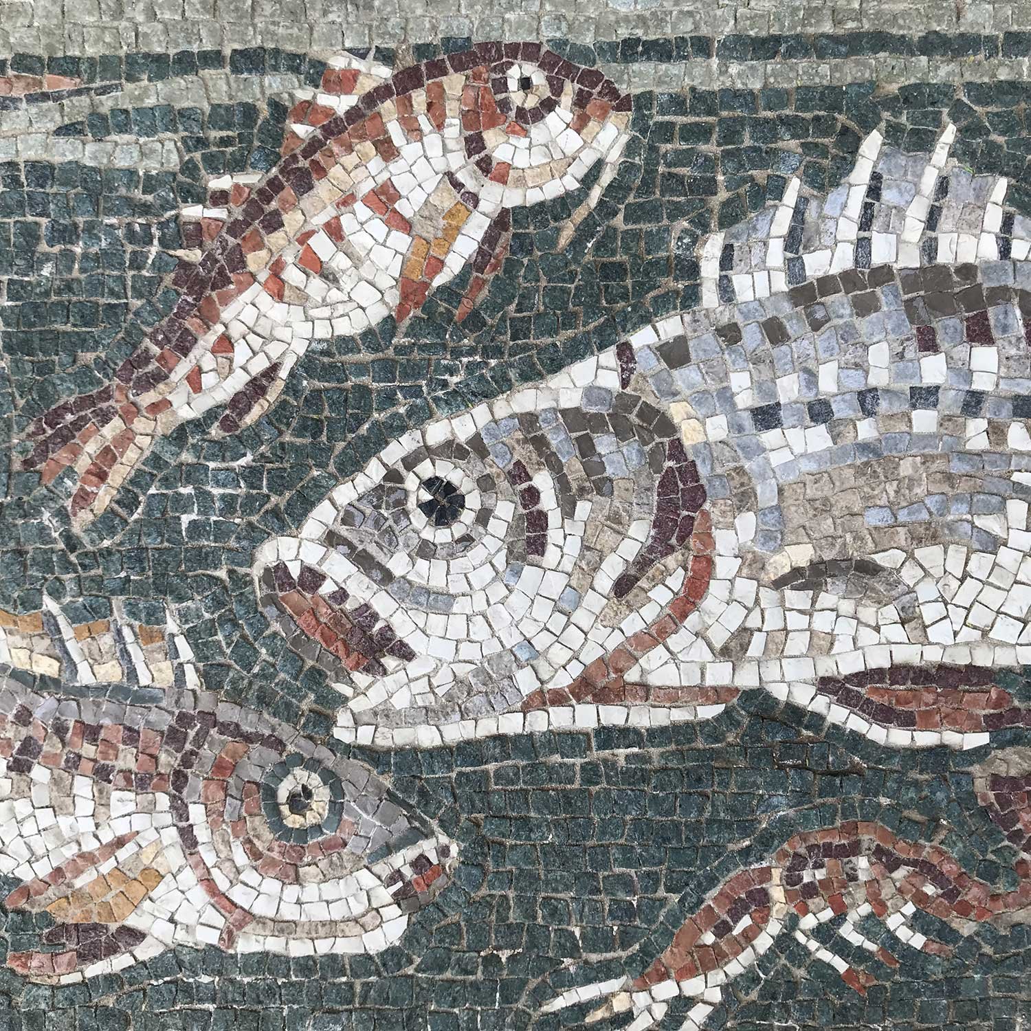 Apicius